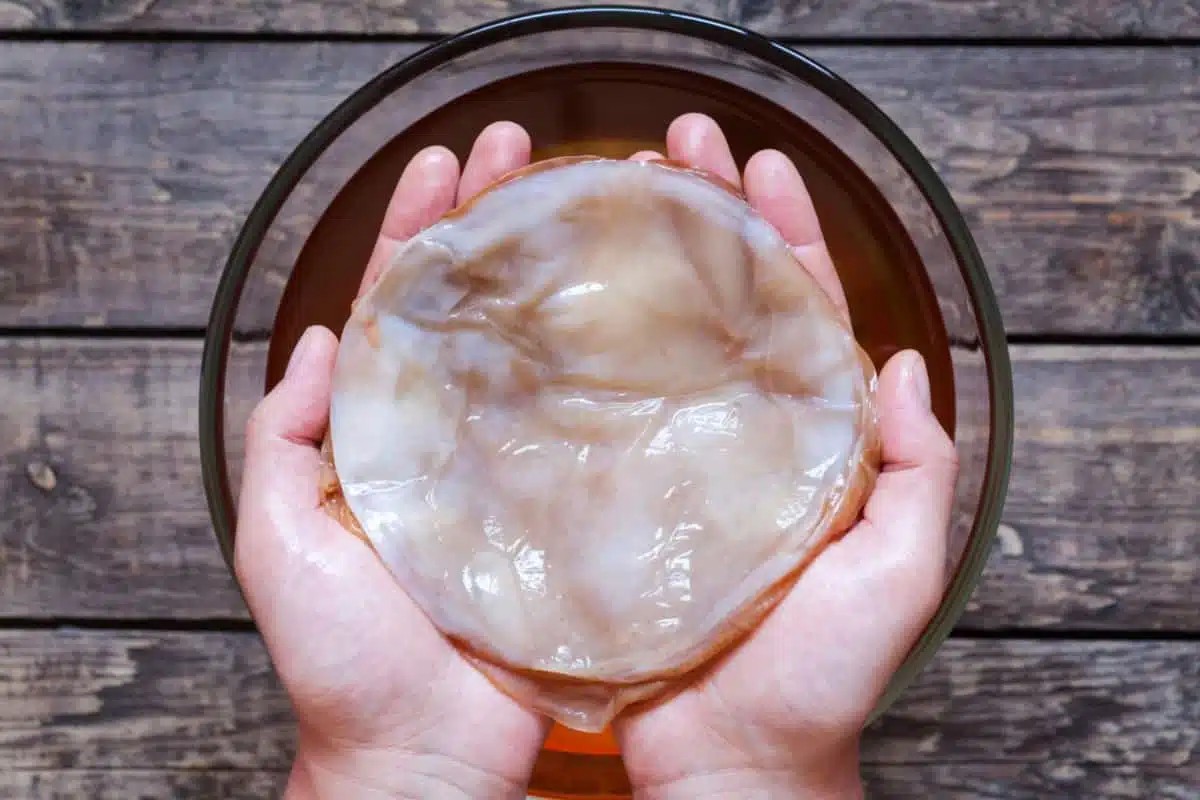 SCOBY