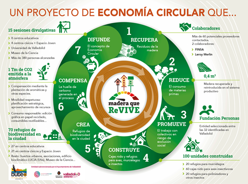 Infografía Madera que revive